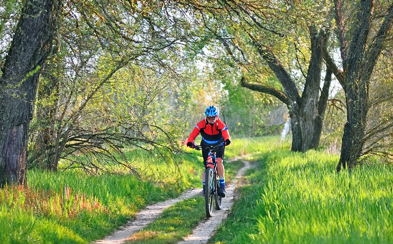 mtb1