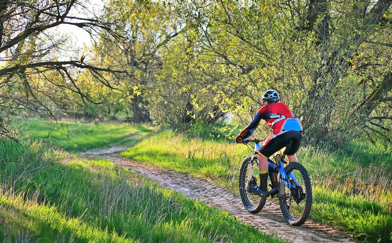 mtb2